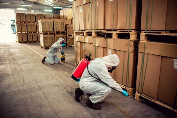 Best Wasp Removal Services  in Brinkley, AR