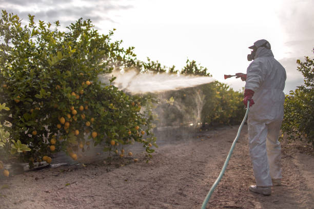 Best Cockroach Control Services  in Brinkley, AR