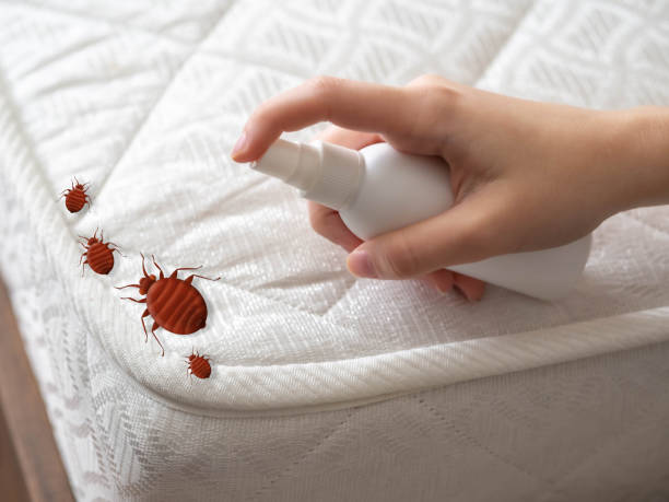 Best Cockroach Control Services  in Brinkley, AR